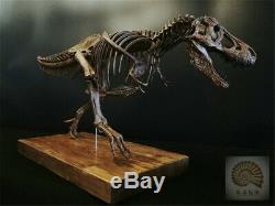 1/10 Tyrannosaurus Rex Skull Skeleton Animal Model Dinosaur Trex Collector Toys