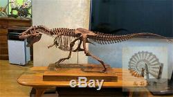 1/10 Tyrannosaurus Rex Skull Skeleton Animal Model Dinosaur Trex Collector Toys