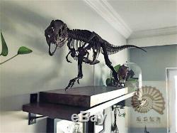 1/10 Tyrannosaurus Rex Skull Skeleton Model Dinosaur Animal Trex Collector Toys