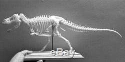 1/20 Tyrannosaurus Rex Trix Skeleton Model T-Rex Dinosaur Collector Toy 3D Print