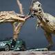 1/24 Tyrannosaurus T Rex Fight Car 33 Super Scene Dinosaur Model Collector Gift