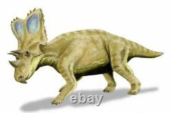 1.3 Daspletosaurus Tyrannosaur, 0.7 Chasmosaurus Fossil Tooth Dinosaur T-REX