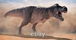 2.4 TYRANNOSAURUS REX Leg Bone WYOMING Cretaceous DINOSAUR FOSSIL t rex 07