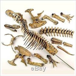 36 LARGE T-Rex Skeleton Realistic Dinosaur Model Science Museum Education Toys