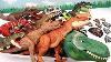 50 Tyrannosaurus Dinosaur Box Jurassic World Walking Dino Anatomy Set