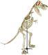 9 ft. Standing Skeleton T-Rex Dinosaur withLED Illuminated Eye Halloween Decoration