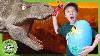 A Giant Dinosaur Surprise Egg Hunt At T Rex Ranch With Park Ranger Lb Dinosaur Videos For Kids