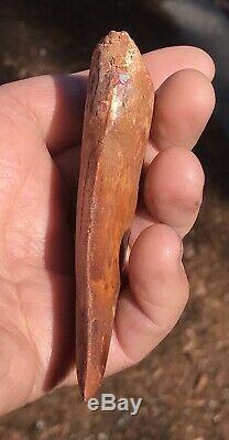 African T-Rex Carcharodontosaurus Dinosaur Tooth 3 & 7/8 in. 100% NATURAL