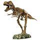 Animal Planet Giant Tyrannosaurus Rex Trex T-Rex Skeleton 90cm long 51 pieces