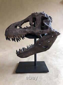 Bone Clones T-Rex Skull Fossil replica Tyrannosaurus Jurassic Dinosaur Sideshow