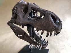 Bone Clones T-Rex Skull Fossil replica Tyrannosaurus Jurassic Dinosaur Sideshow