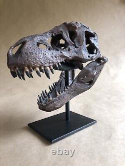 Bone Clones T-Rex Skull Fossil replica Tyrannosaurus Jurassic Dinosaur Sideshow