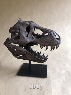 Bone Clones T-Rex Skull Fossil replica Tyrannosaurus Jurassic Dinosaur Sideshow