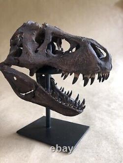 Bone Clones T-Rex Skull Fossil replica Tyrannosaurus Jurassic Dinosaur Sideshow