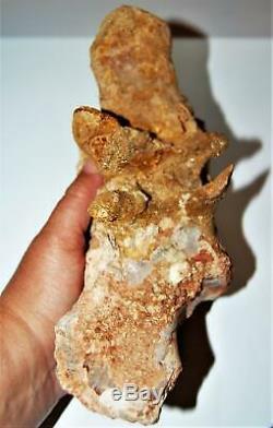 CARCHARODONTOSAURUS Dinosaur VERTEBRA African T-Rex Fossil #14521 46o