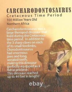 Carcharodontosaurus Dinosaur Vertebra African T-Rex Fossil #18049