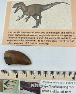 Carcharodontosaurus dinosaur CARCHARODON 1.5 AKA African TREX T REX CU3