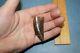 Carcharodontosaurus dinosaur CARCHARODON TOOTH 2 ROOTED AK African TREX T REX