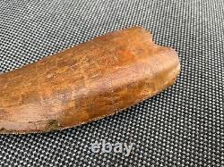 Cretaceous Dinosaur Tooth African T Rex Carcharodontosaurus Rare Fossil, Morocco