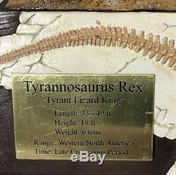 DANBURY MINT TYRANNOSAURUS REX BOX DINOSAUR FOSSIL T-Rex //NEW in Box//