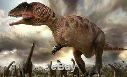 Dent Fossil Carcharodontosaurus T-Rex Dinosaur Fossil Tooth