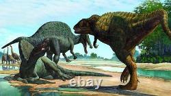Dent Fossile Dinosaure Carcharodontosaurus T-Rex Dinosaur fossil tooth 105 mm
