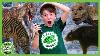 Dinosaur Animal Park Adventure T Rex Ranch Dinosaur Videos For Kids