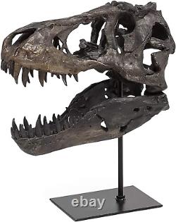 Dinosaur Bones Resin made Head Sculptures T Rex Skull Teaching Skeleton Statue