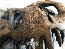 Dinosaur Bones Resin made Head Sculptures T Rex Skull Teaching Skeleton Statue