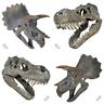 Dinosaur Head Skulls Choose Tyrannosaurus Rex T-Rex or Triceratops 2 Sizes