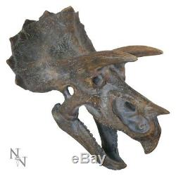 Dinosaur Head Skulls Choose Tyrannosaurus Rex T-Rex or Triceratops 2 Sizes