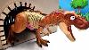 Dinosaur T Rex In Cave Assembly Dinosaur With Bomb Tyrannosaurus Vs Spider