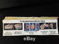 Dinosaur Tyrannosaurus Rex fossil part metatarsal bone Hell Creek Montana t rex