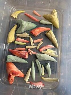 Dinosaur fossil cast replicas