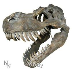 Extra Large 51.5cm T-Rex Tyrannosaurus Rex Wall Hung Dinosaur Skull Nemesis Now