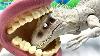 Fun Dinosaur Video 4 Dinosaur Toys Vs Big Mouth T Rex Ankylosaurus For Kids