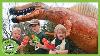Giant Dinosaurs For Kids At Dinosaur World T Rex Ranch Jurassic Adventures