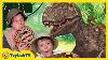 Giant Life Size T Rex Dinosaur Runs After Park Ranger Aaron In Truck Fun Kids Toy Dinosaurs Video