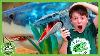 Giant Sharks Snakes And Dinosaurs Jurassic Adventure T Rex Ranch Dinosaur Videos For Kids