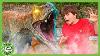 Giant T Rex Dinosaur U0026 Floor Is Lava Pretend Play Escape T Rex Ranch Dinosaur Videos For Kids