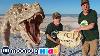 Giant T Rex Dinosaur Vs Park Rangers Best Of Trexranch Explore With Me