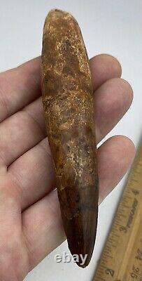 Huge Spinosaurus 5 1/2 Tooth Dinosaur Fossil before T Rex Cretaceous AC10