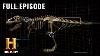 Jurassic Fight Club T Rex The Most Feared Predator S1 E2 Full Episode History