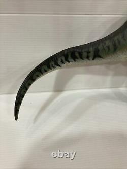 Jurassic Park Trasher dinosaure T-Rex The Lost World jp. 29 Kenner complet