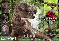 Jurassic Park Tyrannosaurus Rex Prime Collectible Figure 1/38 PVC PCFJP-01 250mm