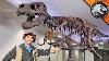 Jurassic World Explorers World S Biggest T Rex Jurassic World