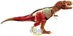 Jurassic World Stem Tyrannosaurus Anatomy Play Dinosaur Figure Excavation T-Rex