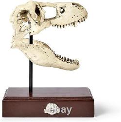Jurassic World Tyrannosaurus Rex Skull Resin Replica TRex Dinosaur Head Statue