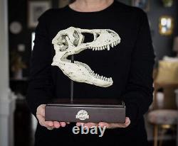 Jurassic World Tyrannosaurus Rex Skull Resin Replica TRex Dinosaur Head Statue