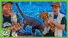 La History Museum Dinosaur Takeover T Rex Ranch Dinosaur Videos For Kids